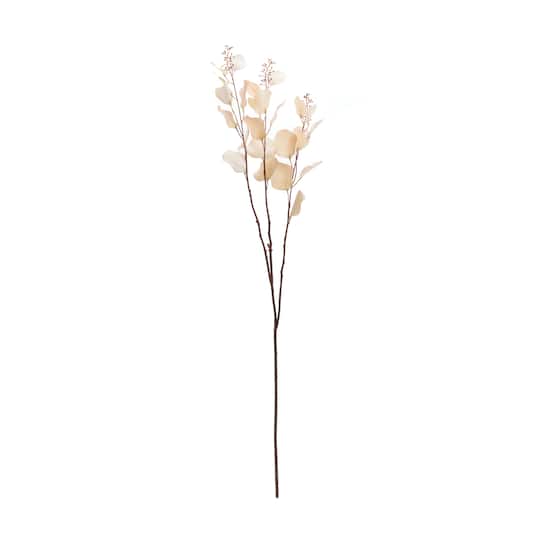 38" Seeded Eucalyptus Stems, 6ct.